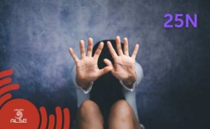 eliminacion de la violencia de genero grupo alse 25N